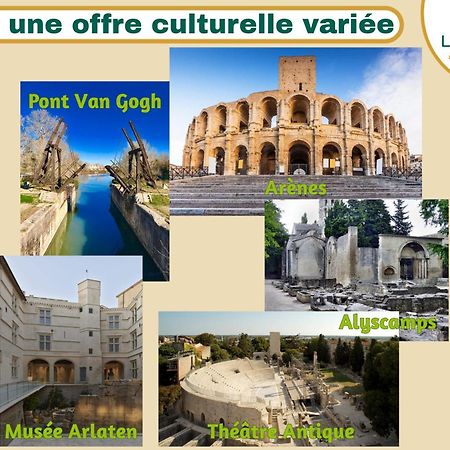Palmeira - Grande maison en ville avec Piscine Arles Extérieur photo