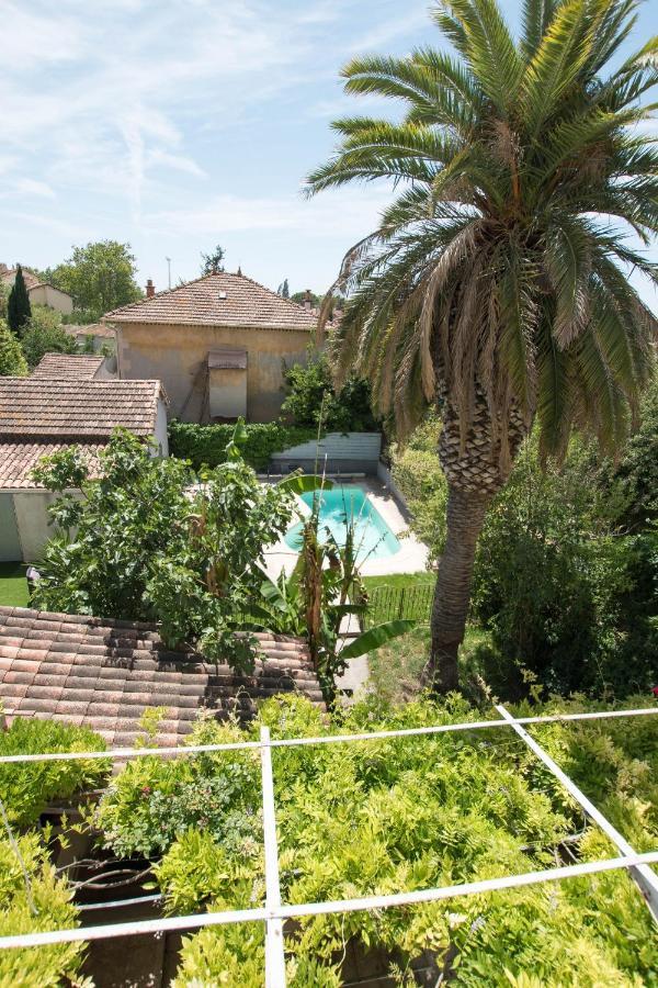 Palmeira - Grande maison en ville avec Piscine Arles Extérieur photo