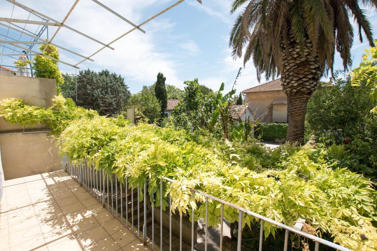 Palmeira - Grande maison en ville avec Piscine Arles Extérieur photo