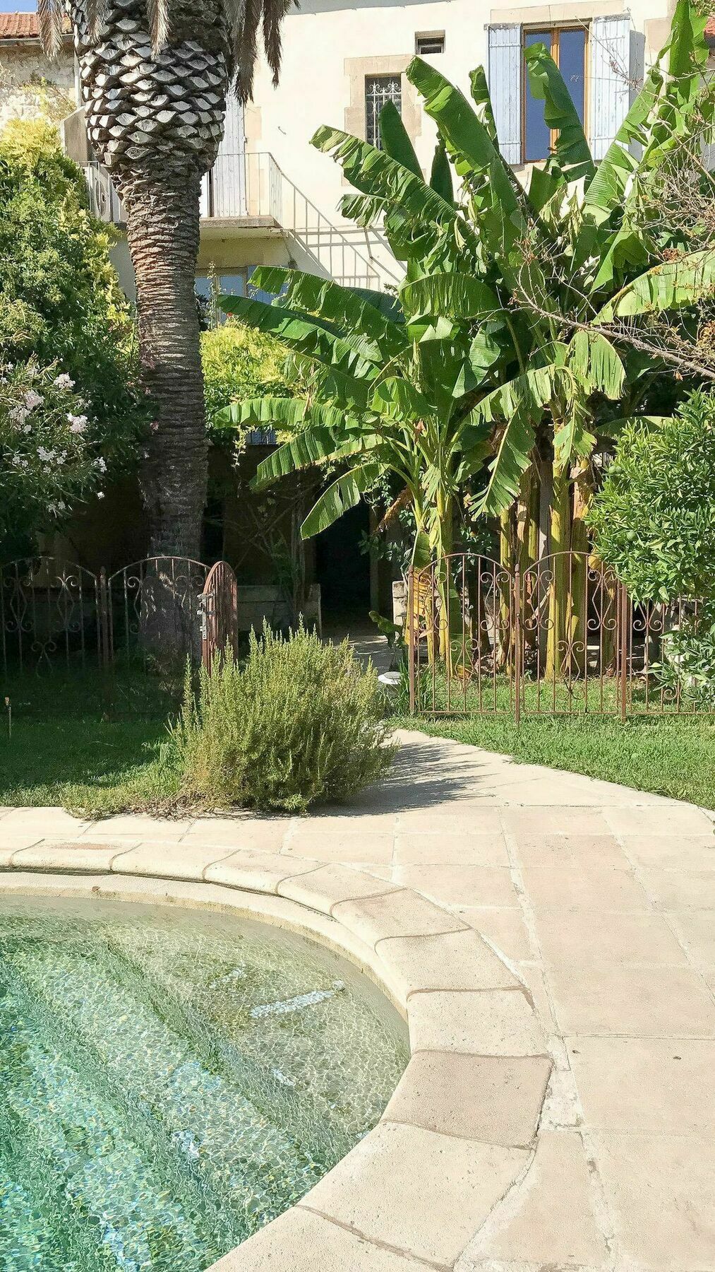 Palmeira - Grande maison en ville avec Piscine Arles Extérieur photo