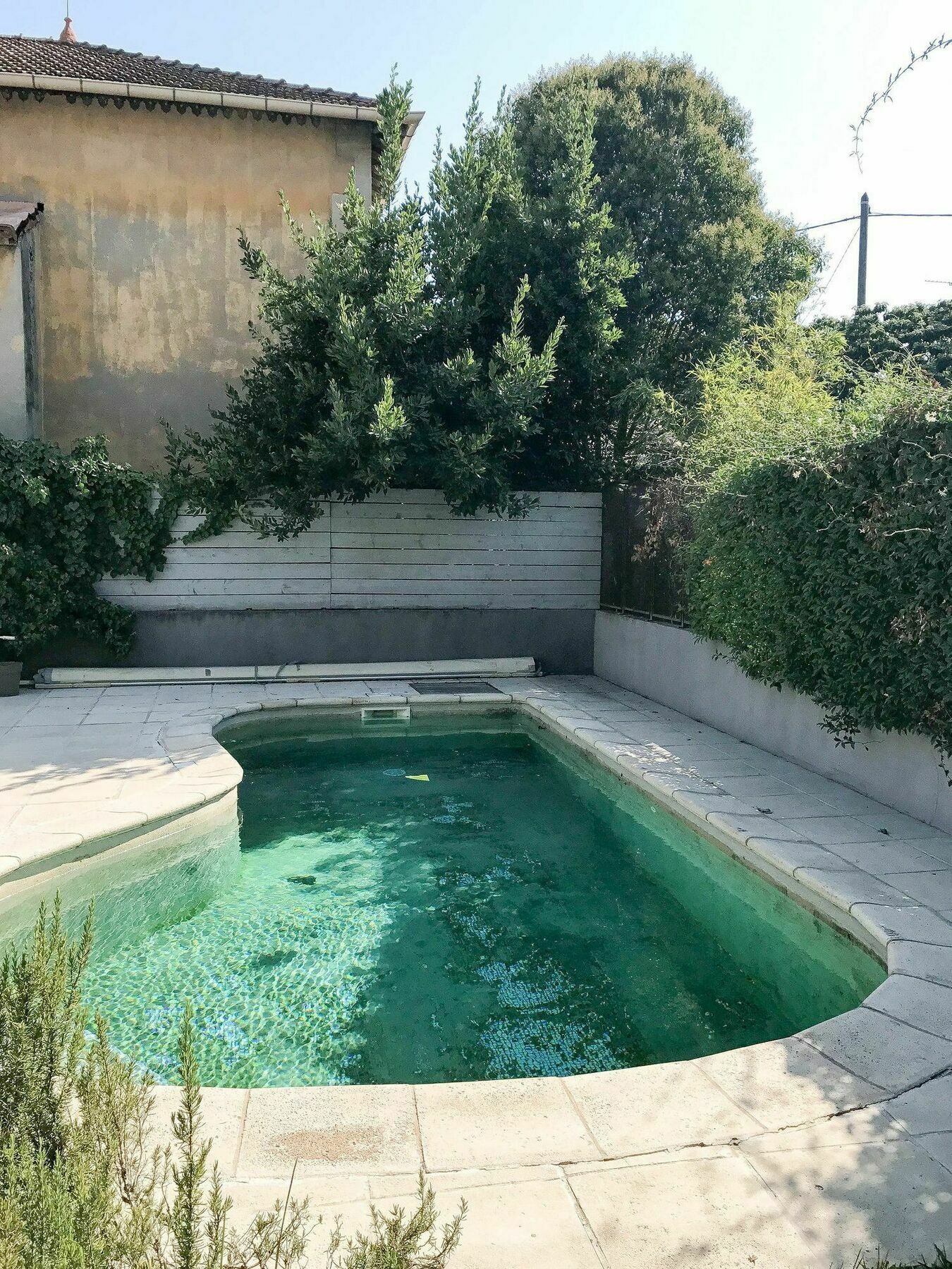 Palmeira - Grande maison en ville avec Piscine Arles Extérieur photo
