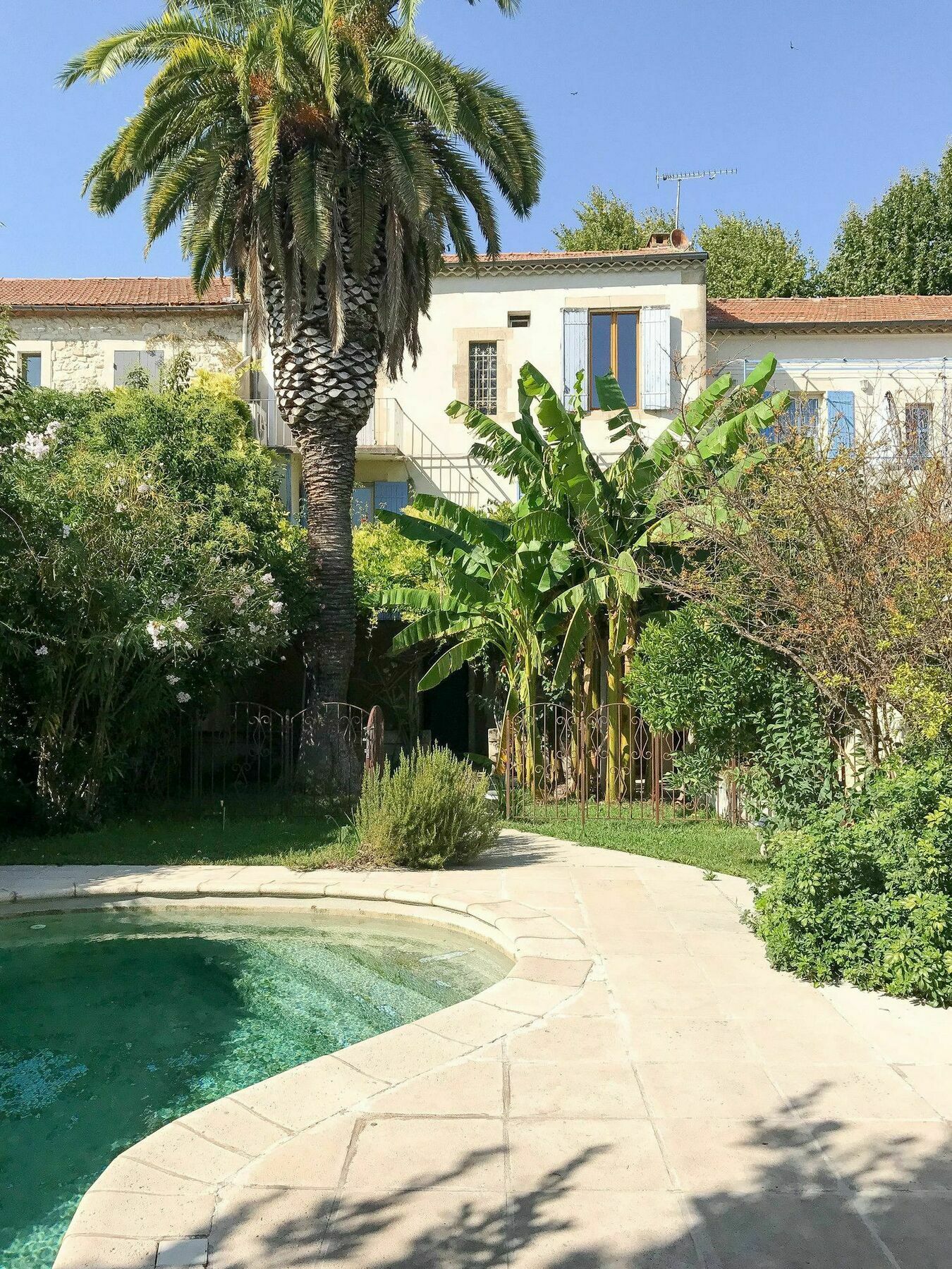 Palmeira - Grande maison en ville avec Piscine Arles Extérieur photo