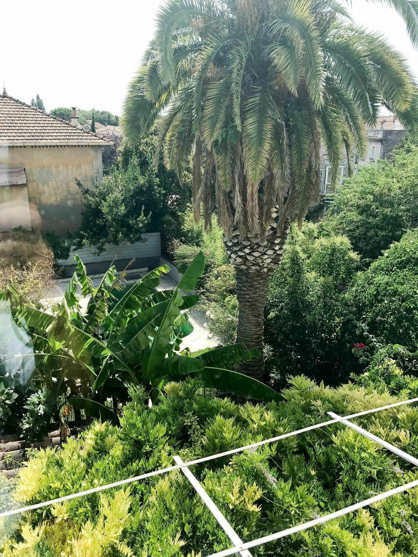 Palmeira - Grande maison en ville avec Piscine Arles Extérieur photo
